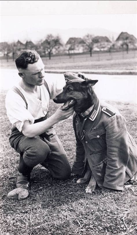 A Wermacht Soldier And His Dog 1943 Roldschoolcool