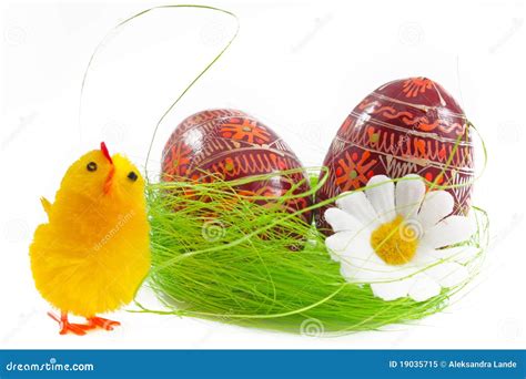 Easter Chick And Egg Stock Image Image Of Meadow Colorful 19035715
