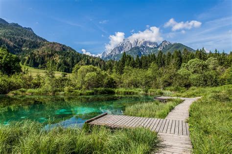 All You Need To Know To Visit Zelenci Nature Reserve In Slovenia