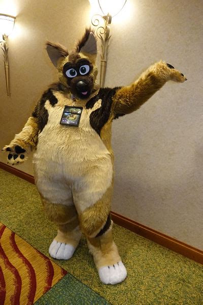 Total cash consideration of $2 million will be paid upon completion of the acquisition, along with $1. Sirocco - WikiFur, the furry encyclopedia