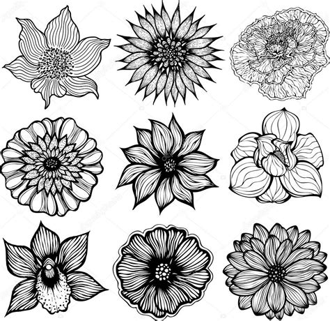 Set Of 9 Different Hand Drawn Flowers Black And White Isolated Vector