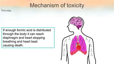 methanol toxicity ppt