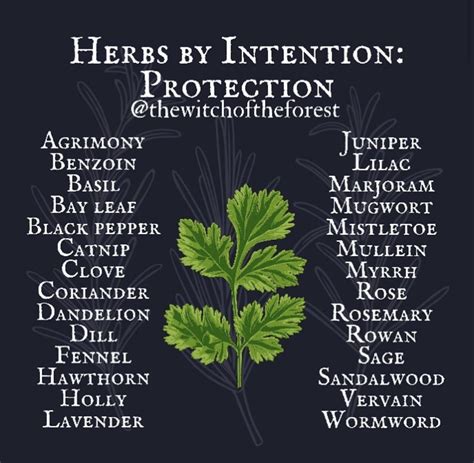 Herbs For Protection Herbs Magical Herbs Magic Herbs