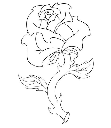 ✓ free for commercial use ✓ high quality images. simple line drawings of roses - Best Wallpaper | Roses ...