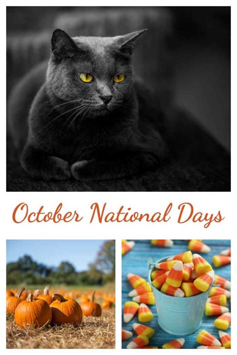 What Are The National Days In October Get The Full List To Find Out