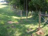 Wood Fencing With Metal Posts