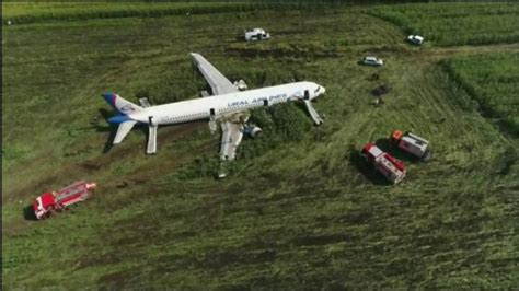 Pilots Prevent Plane Crash By Landing It In Cornfield All 226