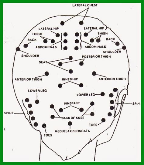 Head Massage Points Reflexology Massage Reflexology Massage Therapy