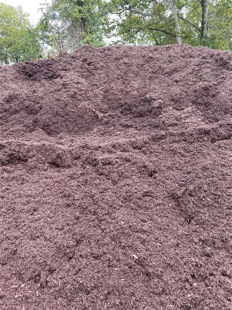 Brown Dyed Mulch Champion Mulch And Outdoor Supply