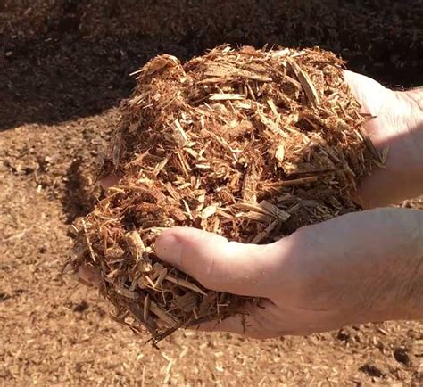 Cypress Mulch What Is It And How Do I Use It Backyard Gardeners Network