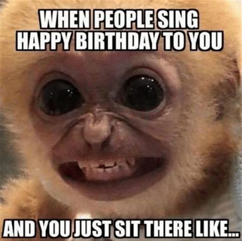 101 Happy Birthday Memes When People Sing Happy Birthday To You And