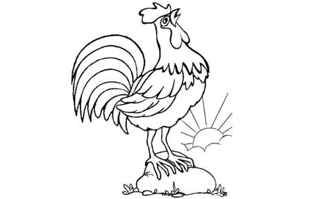 Mewarnai Gambar Ayam Jago - IMAGESEE