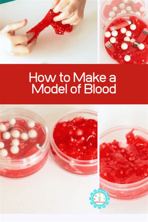 How To Make A Blood Model Project For Halloween Or School