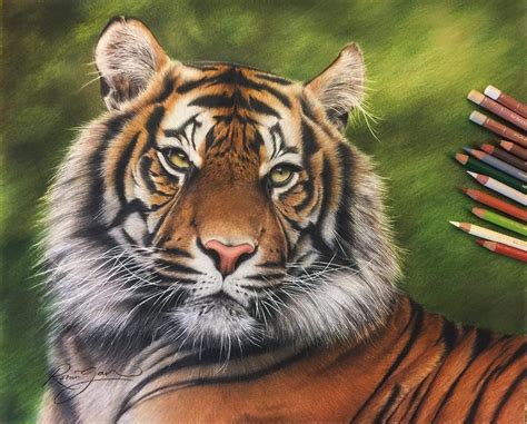 To connect with realistic animal drawings, join facebook today. Design Stack: A Blog about Art, Design and Architecture ...
