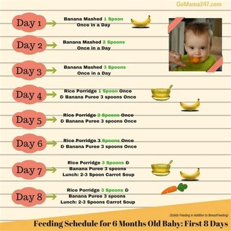 At 5 months, breastmilk or formula is the most important ingredient in a healthful diet. Pin on Baby feeding chart