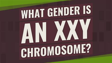 What Gender Is An Xxy Chromosome Youtube