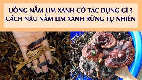 Lim teoh & co is an independent auditor with office located in alor setar, kedah. UỐNG NẤM LIM XANH CÓ TÁC DỤNG GÌ? CÁCH NẤU NẤM LIM XANH ...