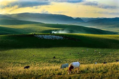 推荐 草原游，带您领略不一样的内蒙古草原锡林郭勒旅游网