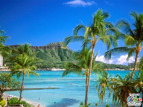 49 Free Wallpaper Beaches Hawaii