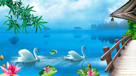 Swan Lake Wallpaper For Desktop