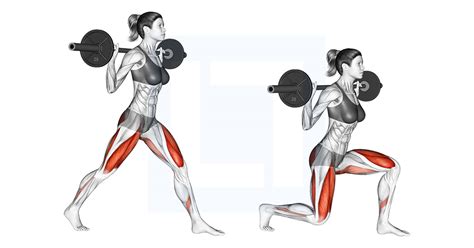 Barbell Split Squat Guide Benefits And Form