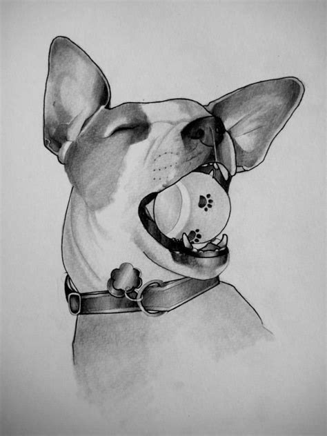 Pencil And Ink On Paper 2013 Rose Slaton Dog