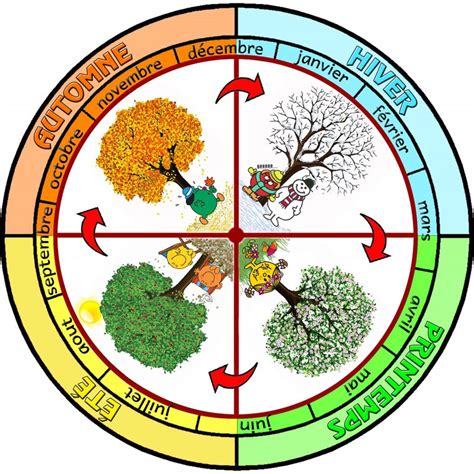 Le Cycle Des Saisons Les Saisons Ce Les Saisons Saisons Maternelles Hot Sex Picture