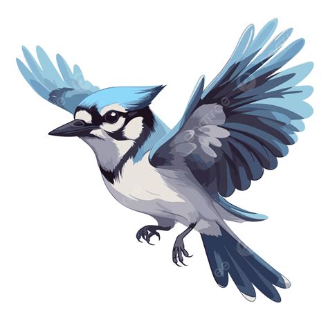 Flying Blue Jay Sticker Clipart Blue Jay Vector Illustrations Cartoon