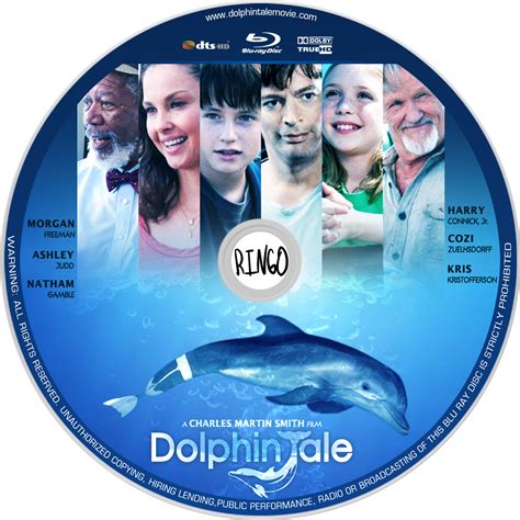 Coversboxsk Dolphin Tale High Quality Dvd Blueray Movie