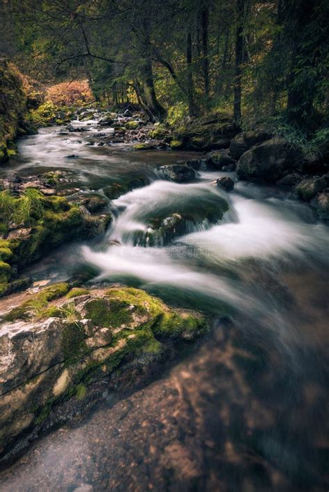 River Flowing Between Mossy Rocks Near A Forest Stock Photo Image Of