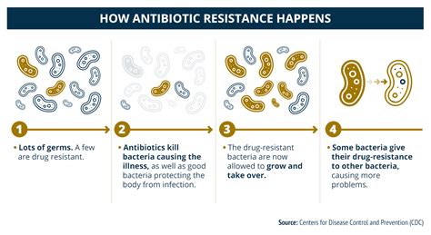 The Benefits And Downfalls Of Antibiotics