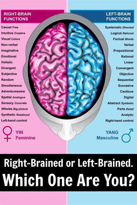 Left Brain And Right Brain