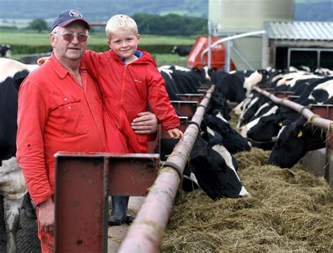 Dairy Farmer Crushed To Death By His Own Cattle The Independent The