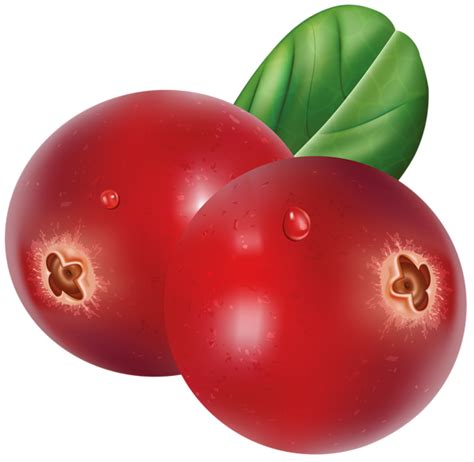 Red Cranberries Transparent Png Clip Art Image Gallery