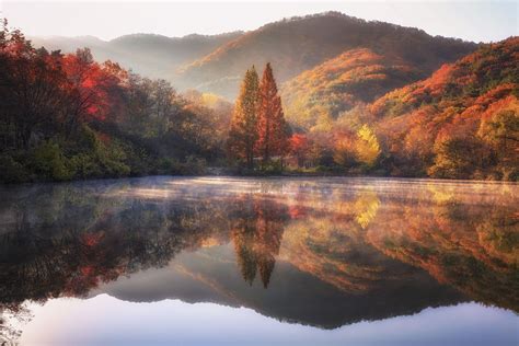 Autumn Morning | Autumn morning, Autumn scenery, Autumn nature