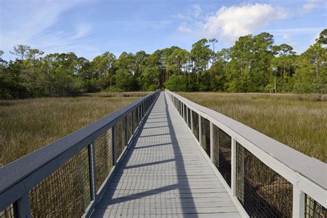 Free Images Landscape Tree Nature Forest Path Grass Outdoor