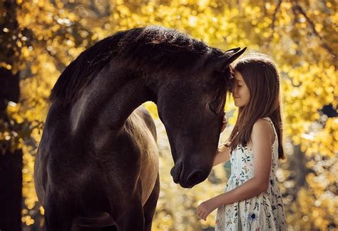 🎖 Morsomme Fakta Om Hester For Barn