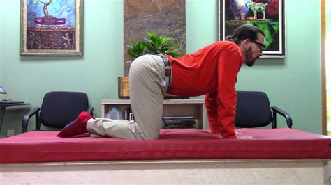 Cat Cow Stretch For Back Pain Chiropractor Portland Or Youtube