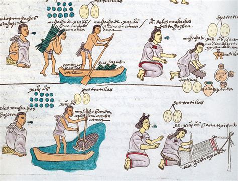 Bravery And Warriors In Aztec Society Ancient Aztec World