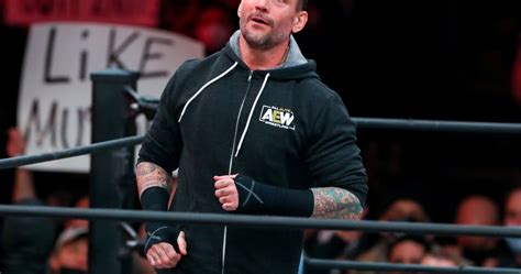 Meltzer: CM Punk's Camp 'Not Happy with' The Elite's Trolling on AEW