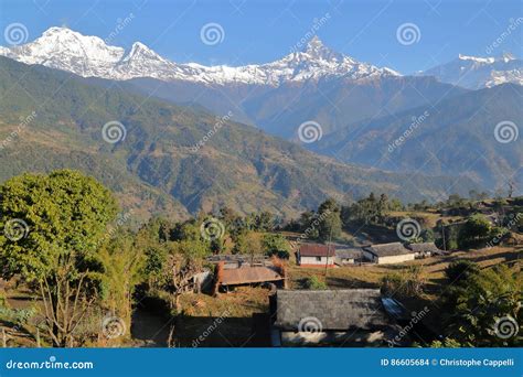 Dhampus Nepal Himalaya Mountains With Machapuchare Peak Seen From