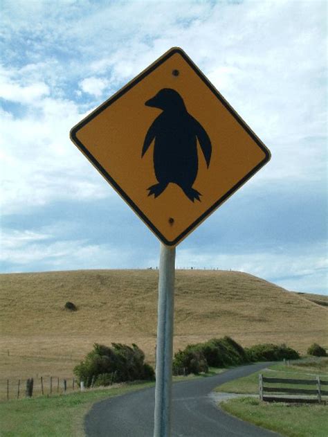 Where Are The Most Peculiar Road Signs Youve Ever Seen Quora