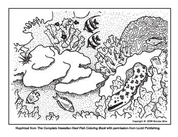 Coral Reef Coloring Sheets with info about Reef Etiquette | TpT