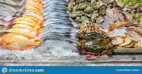 Fresh Fish On Counter Of A Seafood Restaurant Different Types Of