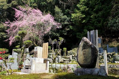 Mariage Heureux Au Japon Entre Traditions Et Modernité