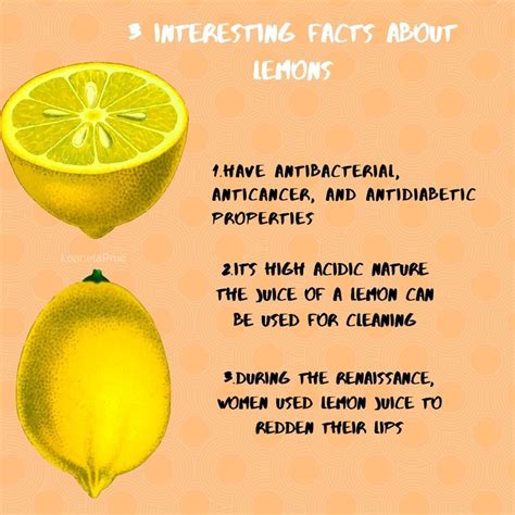 Lemons Fun Facts Lemons Facts