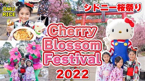 Sydney Cherry Blossom Festival 2022Auburn Botanic Gardens シドニーの桜祭り