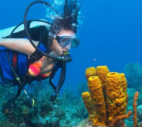 Belize Scuba Diving And Snorkeling Tours In Ambergris Caye Belize