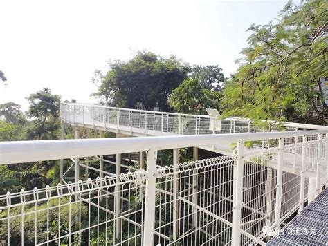 It is dedicated to fully showing the stage performance. 台湾最长高空步道——八卦山天空步道， 俯瞰大佛风景区 彰化市景_生活