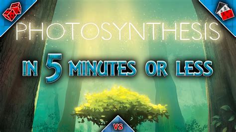 photosynthesis in 5 minutes or less youtube